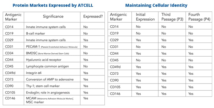 atcell-science